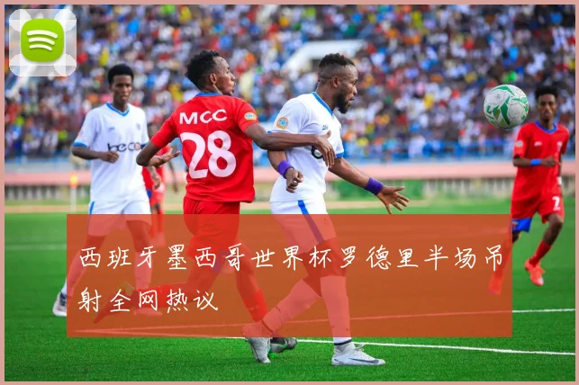 西班牙墨西哥世界杯罗德里半场吊射全网热议