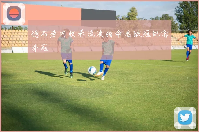 德布劳内收养流浪狗命名欧冠纪念夺冠