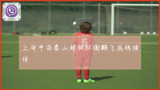 上海申花泰山超级杯谢鹏飞底线横传