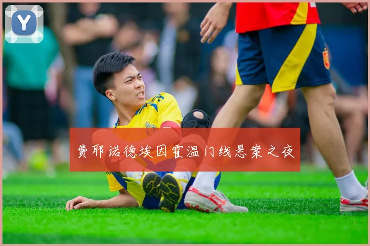 费耶诺德埃因霍温门线悬案之夜