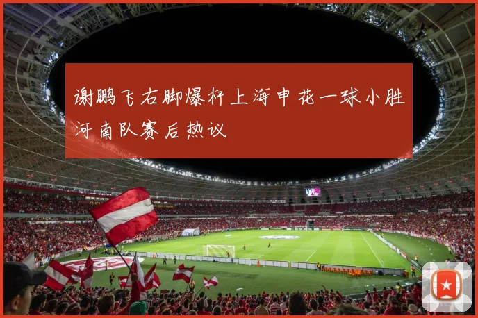谢鹏飞右脚爆杆上海申花一球小胜河南队赛后热议