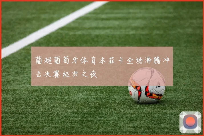 葡超葡萄牙体育本菲卡全场沸腾冲击决赛经典之夜