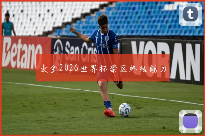 麦金2026世界杯禁区终结能力