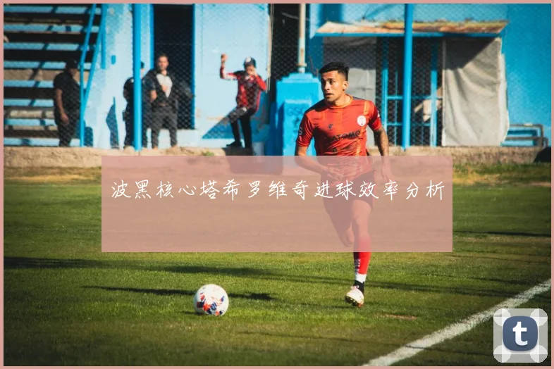 波黑核心塔希罗维奇进球效率分析