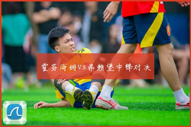 霍芬海姆vs弗赖堡中锋对决
