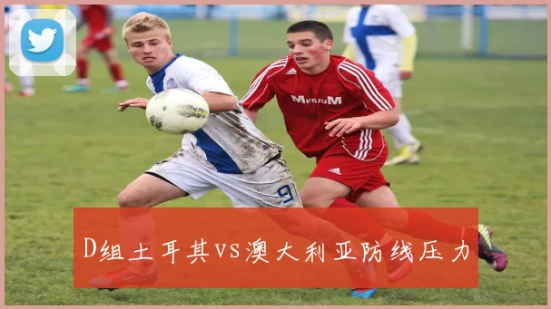 D组土耳其vs澳大利亚防线压力
